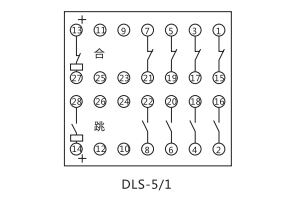 DLS-5/1接線圖